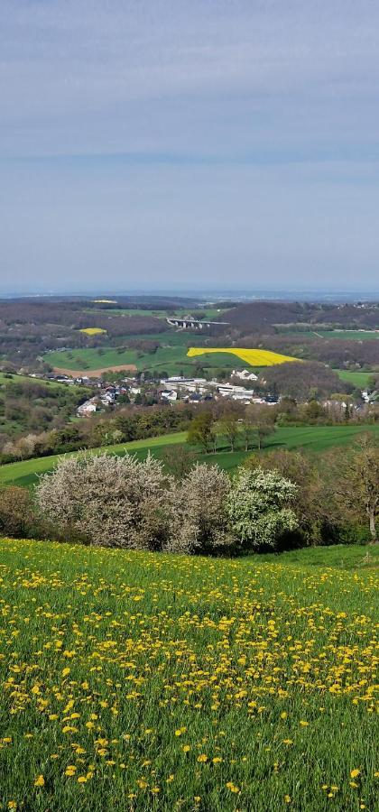 شقة Gemuetliche Auszeit In Der Eifel ميشرنيش المظهر الخارجي الصورة